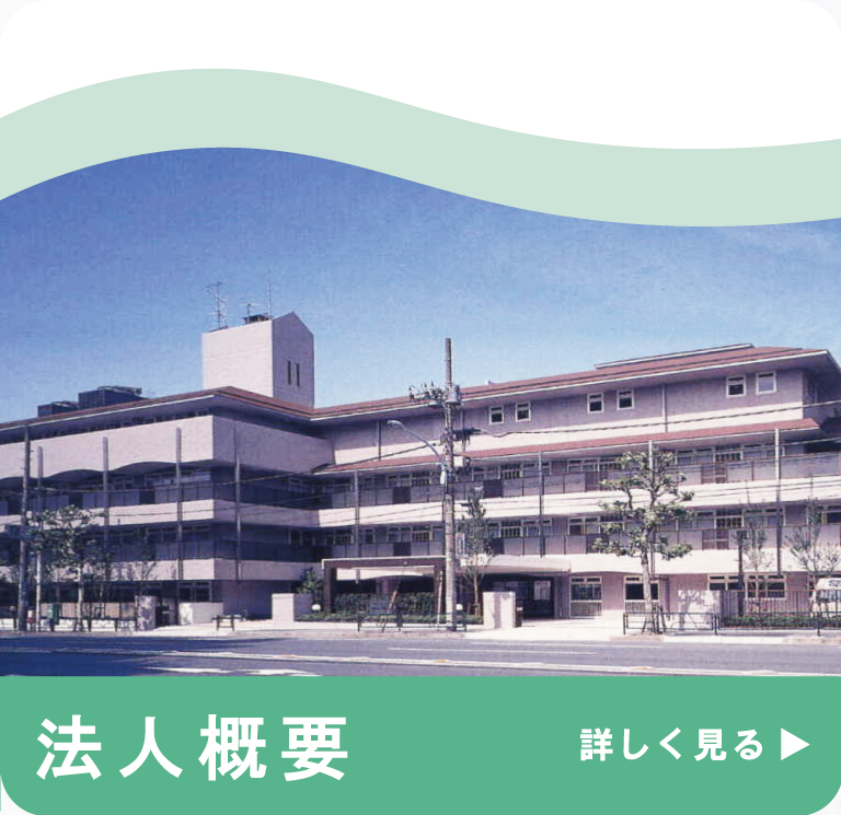 法人概要
